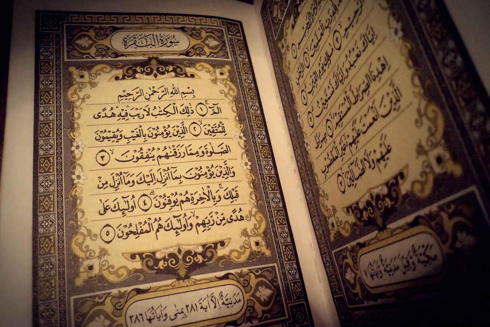 La Luce del Corano-Esegesi del Sacro Corano,vol 1 - Parte 17 - Sura Al-Bagharah - versetti 41-43
