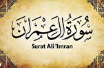 شرح سيرة السيدة مريم(س) وفضائل أهلها في سورة آل عمران