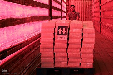Photos: Astan Quds Razavi Sends Medical Aid to War-Torn Lebanon