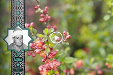 Heavenly Recitations: Al-Zanati Recites Verse from Surah Al-Ghashiyah