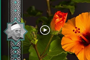 Heavenly Recitations: Surah Al-Imran by Shahat Muhammad Anwar