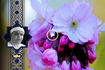 Heavenly Recitations: Mustafa Ismail Recites Surah An-Nisa