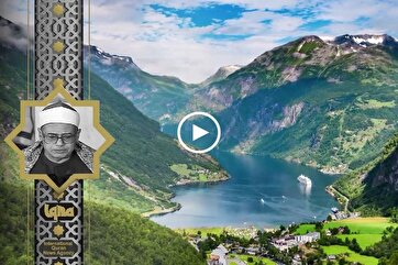 Heavenly Recitations: Surah Fussilat by Hussein Mansour
