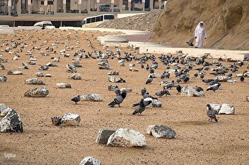 Photo Gallery: Abu Talib Cemetery in Mecca