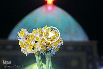 Video Clip: Children Sing to Mark Imam Mahdi Birthday