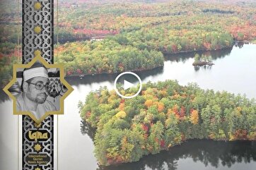 Heavenly Recitations: Shaban Sayyad Recites Surah Al-Fath