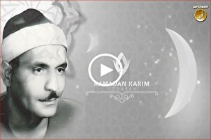 Recitación de los versos de la sura An-Naml por un qari egipcio