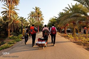 Arbain 2023: Peregrinos se dirigen a Karbala por un sendero pintoresco