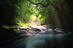 'Malakut' de Un río en el paraíso