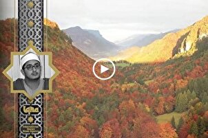 Sura Ash-Shams por Mahmoud Shahat Anwar