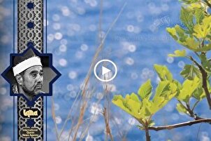 Recitaciones celestiales: Surah Al-Alaq de Mustafa Ghalwash