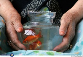 مادران فراموش شده