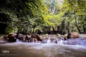 جنگل و رودخانه پلنگ دره