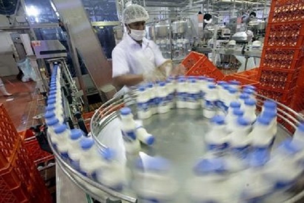 جنجال شیر و هجوم به امنيت روانی جامعه