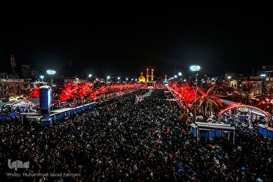 فیلم/ در دشت گونه‌ها گل سیلی شکفته شد