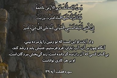 فیلم | تلاوت آیه 39 سوره فصلت با صوت «احمد شبیب»