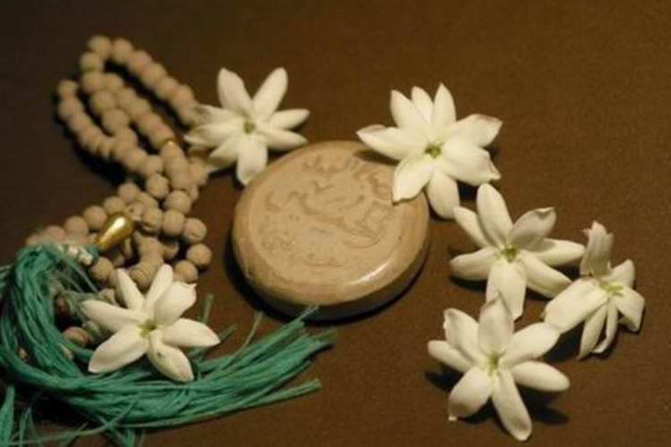 همایش نماز، تیپ المهدی جهرم همایش نماز، تیپ المهدی جهرم