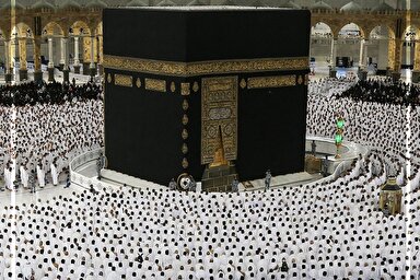 طرح | همبستگی مسلمانان