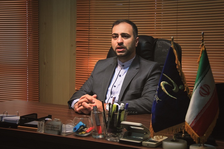 مجید میکائیلی، رئیس سازمان بسیج هنرمندان فارس