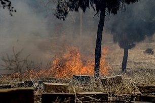 قبرستان تاریخی دارالسلام شیراز