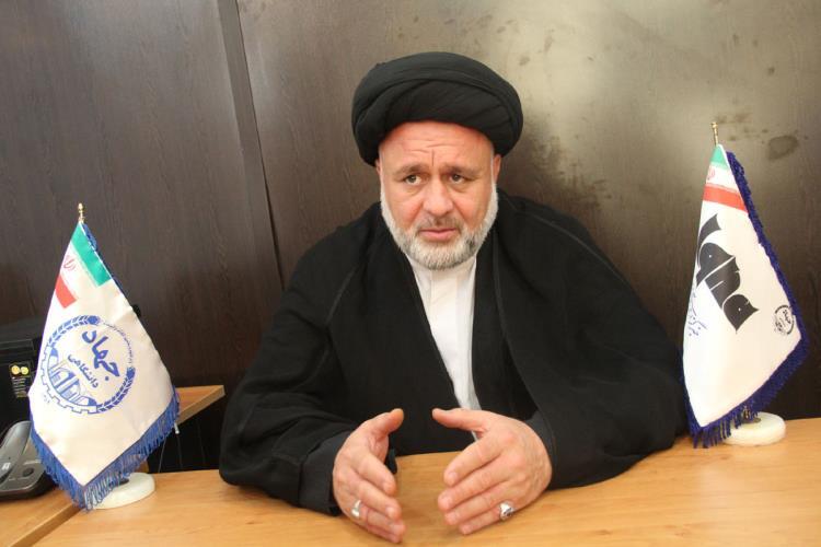 حجت‌الاسلام والمسلمین سیدمحمود وزیری، مبلغ بین‌المللی