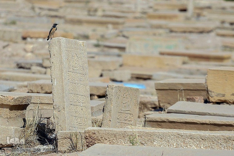 قبرستان دارالسلام شیراز قبرستان دارالسلام شیراز