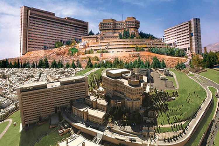 دانشگاه شیراز