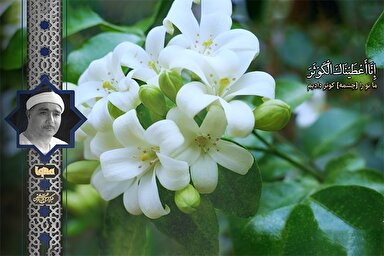 فیلم | فراز شنیدنی سوره «کوثر» با تلاوت مصطفی اسماعیل