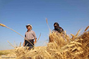 پدر یعنی کوه آرامش، ستون استوار و سنگ صبور خانواده