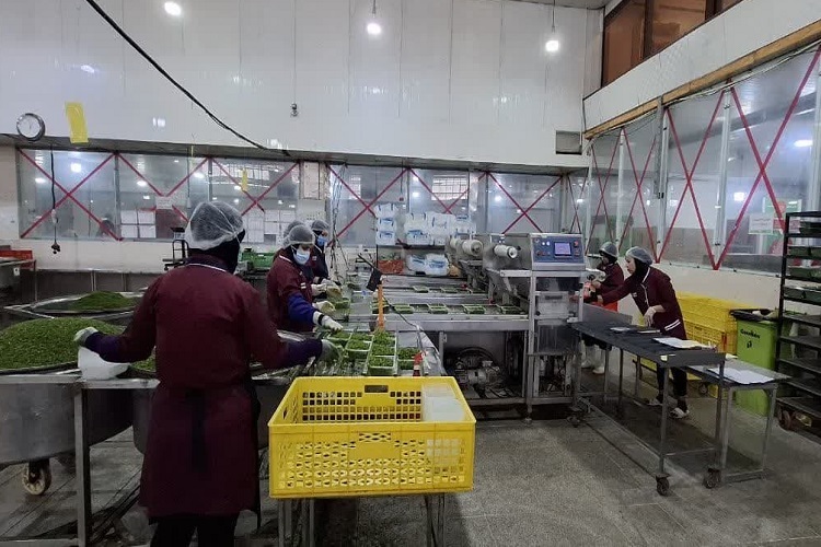 واحد تولیدی