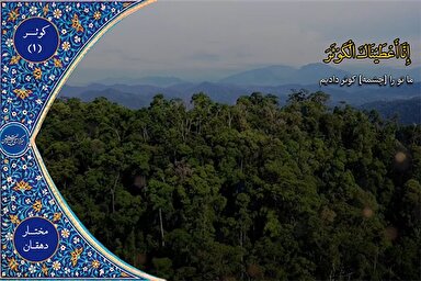 فیلم | فرازی از تلاوت «مختار دهقان»