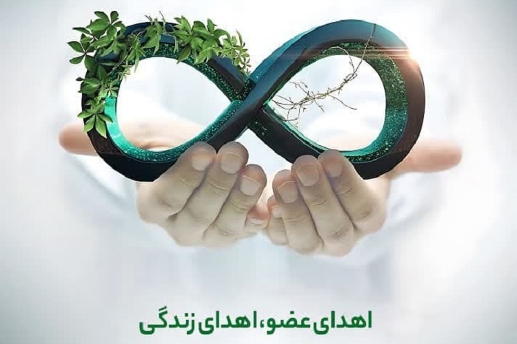 اهدای عضو