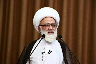 حرکت به سمت امام حسین (ع) و زیارتشان، خود بهشت است