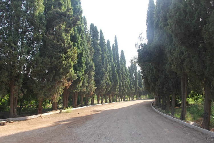 باغ تاریخی سه‌گوش شیراز