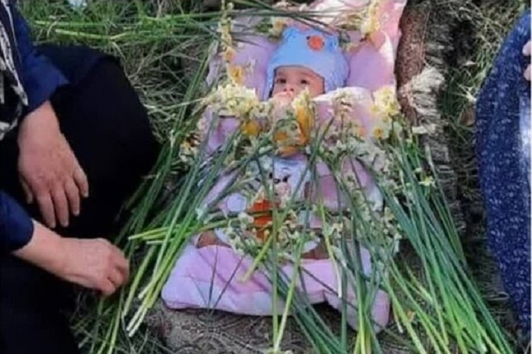 آیین «گل غلتان نوزاد»، کراده خفر