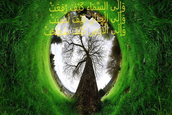 تمرکز بر چرخه‌ها، نه خطوط؛ پیام بوم‌شناختی عمیق قرآن