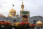 حرم مطهر رضوی آراسته به ۳۰ هزار بوته و شاخه گل شد