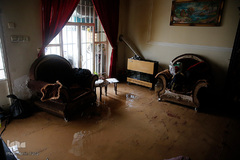 سیل در شیراز