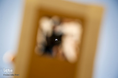 خورشید گرفتگی قرن در شیراز