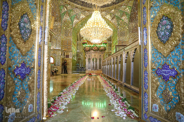 گلباران حرم مطهر امین ولایت