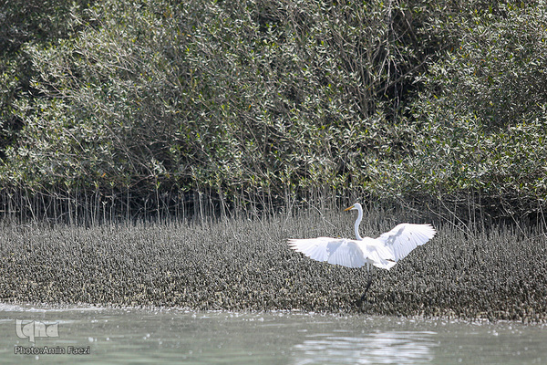 طبیعت صفر مرزی چابهار