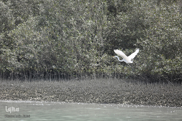 طبیعت صفر مرزی چابهار