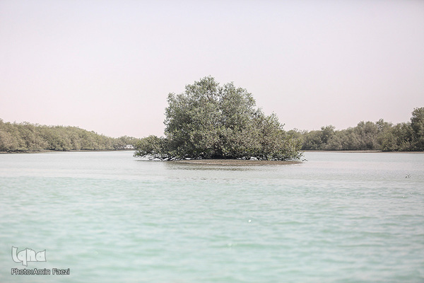 طبیعت صفر مرزی چابهار