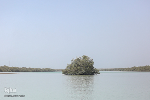 طبیعت صفر مرزی چابهار