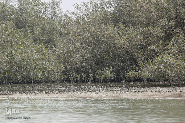 طبیعت صفر مرزی چابهار