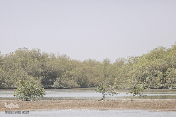 طبیعت صفر مرزی چابهار