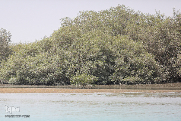 طبیعت صفر مرزی چابهار