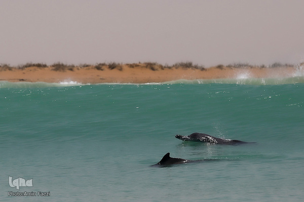 طبیعت صفر مرزی چابهار