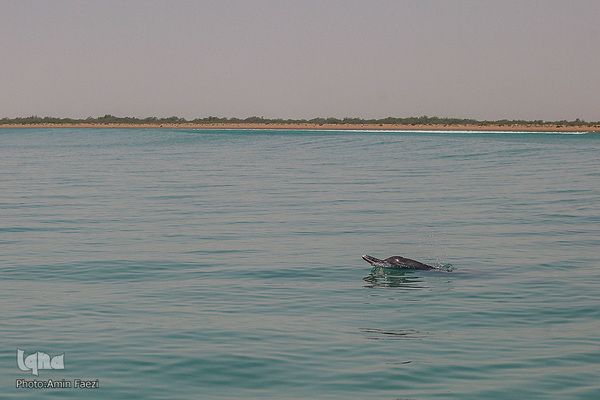 طبیعت صفر مرزی چابهار