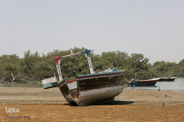 طبیعت صفر مرزی چابهار